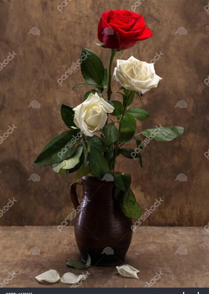 عکس گل رز و گلدان