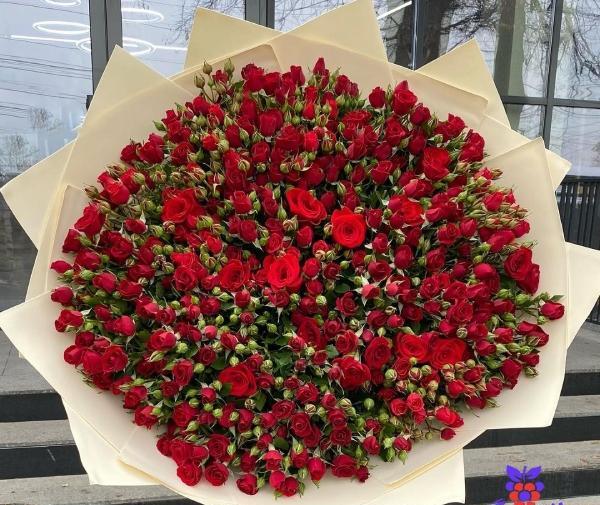 عکس گل رز قرمز خارجی
