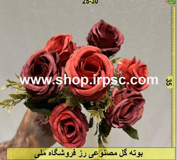 عکس گل رز قرمز خشک شده