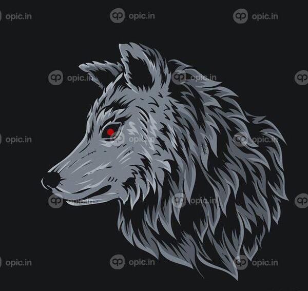 عکس ماشین گرگ مشکی