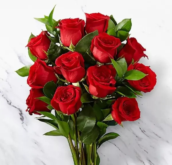 دانلود عکس تک شاخه گل رز