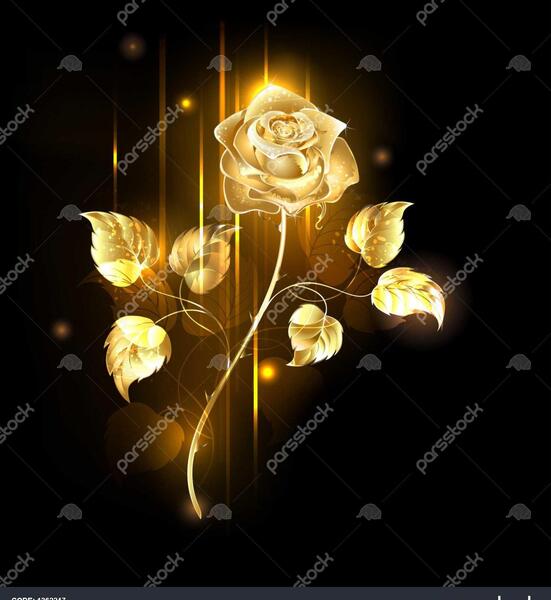عکس گل رز آبی با پس زمینه مشکی