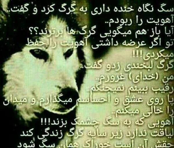 عکس پروفایل غرور گرگ