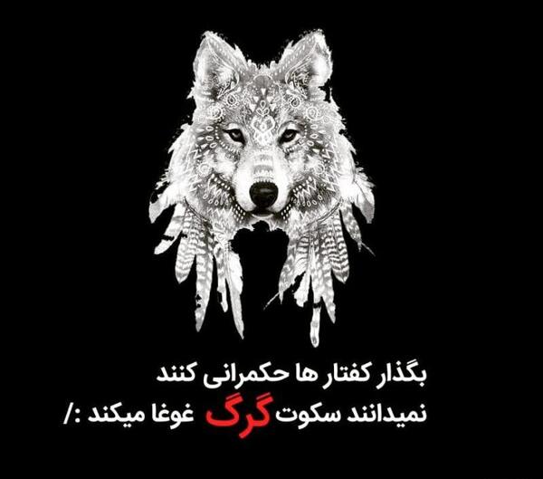عکس پروفایل غرور گرگ
