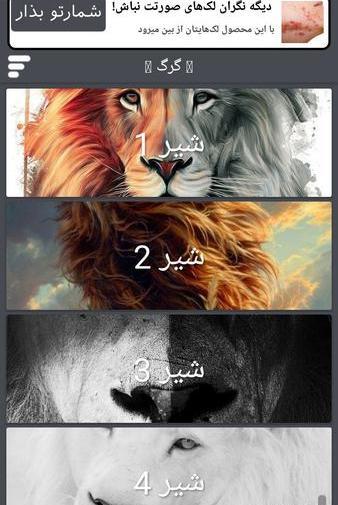 عکس گرگ و شیر برای پروفایل