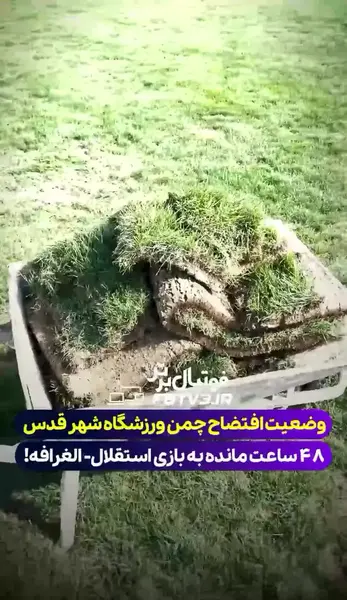 عکس گرگ شب شهرقدس