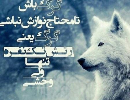 عکس نوشته های گرگ جدید