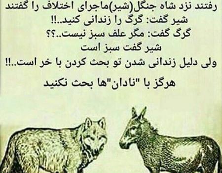 عکس نوشته های گرگ جدید