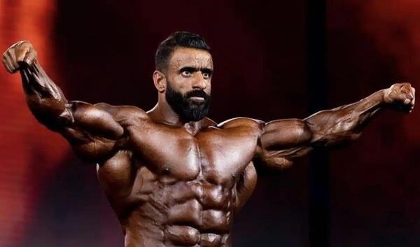 عکس گرگ ایران هادی چوپان