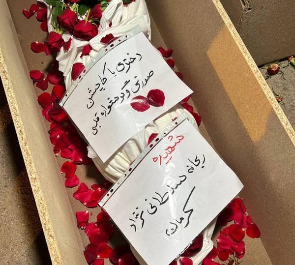 عکس دختر گرگ آتشین