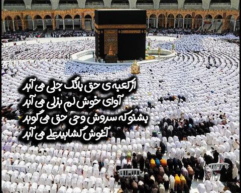 عکس ولادت مولود کعبه