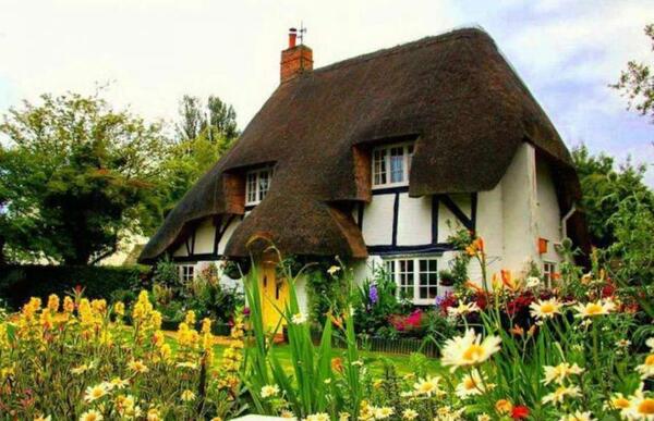 عکس زیباترین کلبه های جنگلی