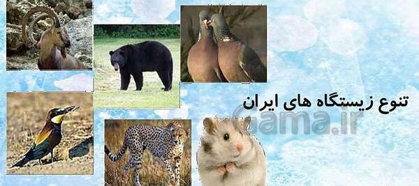 کتاب عکس های درس 11 مطالعات هفتم
