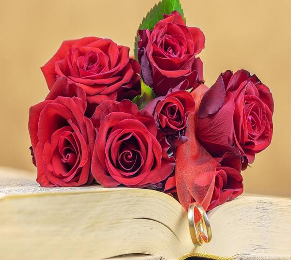 عکس گل های کتاب