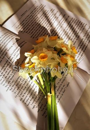 عکس گل های کتاب