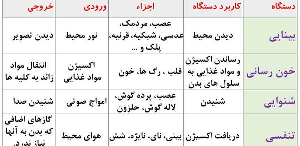 عکس هرم غذایی در کتاب کاروفناوری هفتم