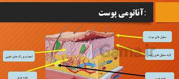 عکس پوست کتاب علوم پنجم