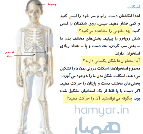 عکس پوست کتاب علوم پنجم