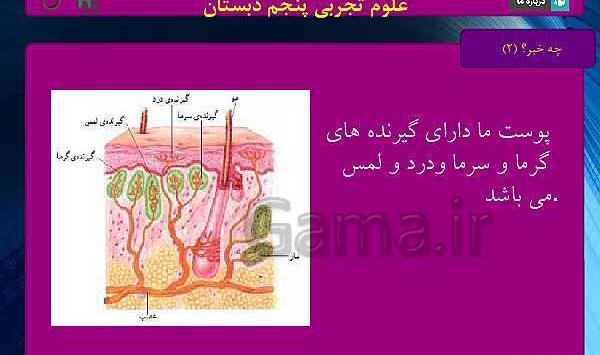 عکس پوست کتاب علوم پنجم