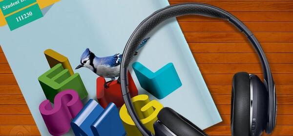 عکس کتاب زبان یازدهم انسانی