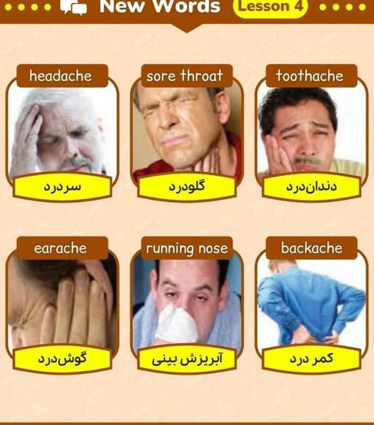 معنی عکس های اخر کتاب زبان هشتم