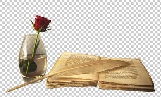 دانلود عکس کتاب و گل