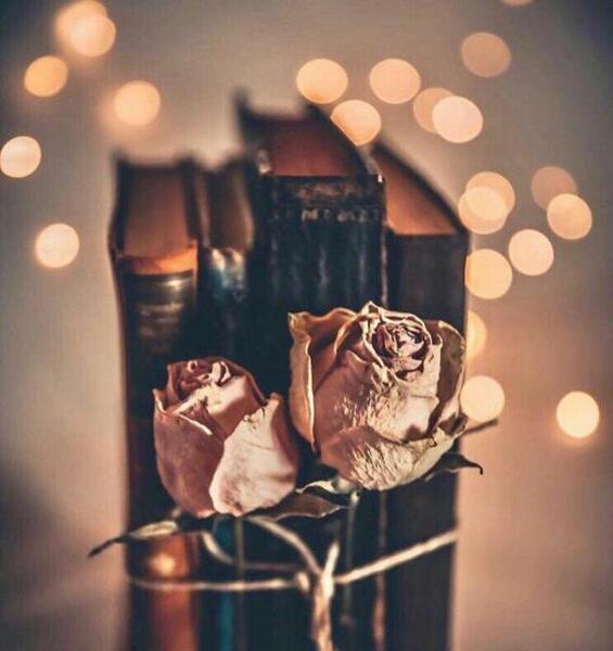 دانلود عکس کتاب و گل