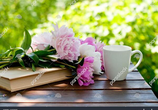 دانلود عکس کتاب و گل