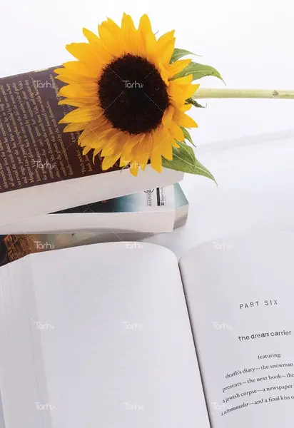 دانلود عکس کتاب و گل