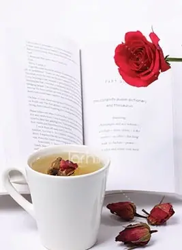 دانلود عکس کتاب و گل