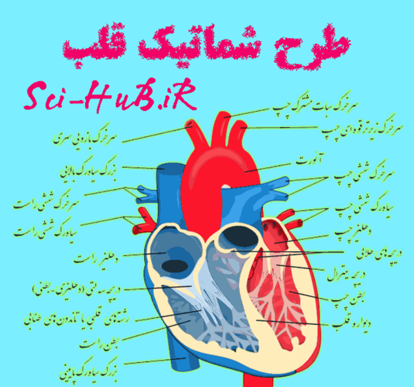 عکس های داخل کتاب علوم هفتم