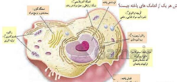 عکس های داخل کتاب علوم هفتم