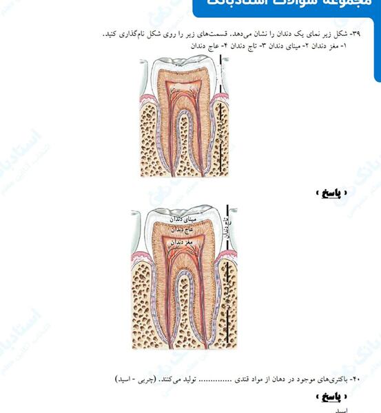 عکس های داخل کتاب علوم هفتم
