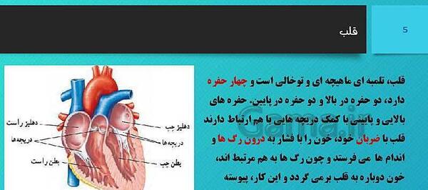 عکس های داخل کتاب علوم هفتم