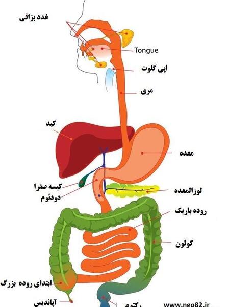 عکس های داخل کتاب علوم هفتم