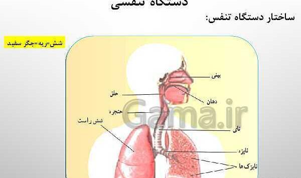 عکس های داخل کتاب علوم هفتم