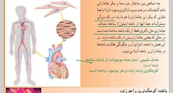 عکس های داخل کتاب علوم هفتم