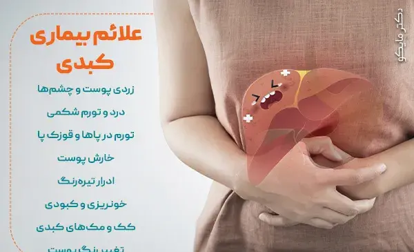 عکس تصویر کبد انسان در بدن