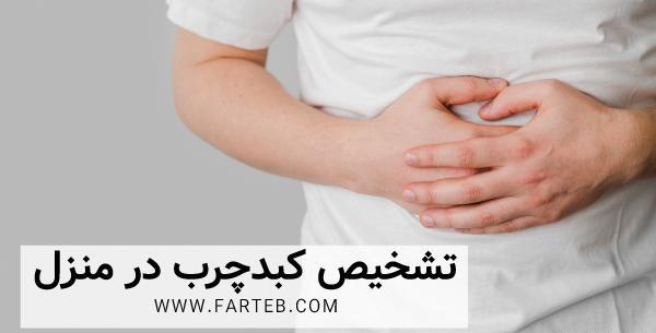 عکس کبد بدن انسان