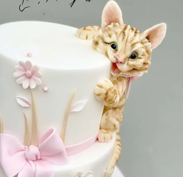 عکس کیک گربه صورتی