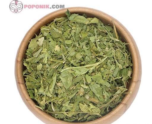 عکس ترشی کرفس کوهی