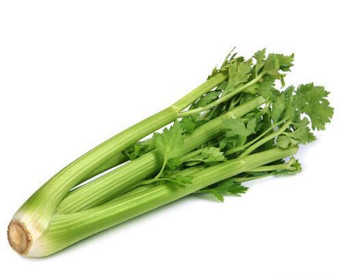 عکس کرفس وحشی