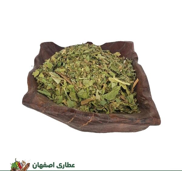 عکس کرفس وحشی