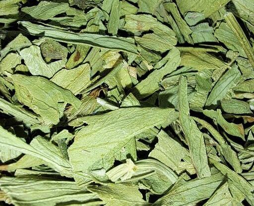 عکس کرفس وحشی