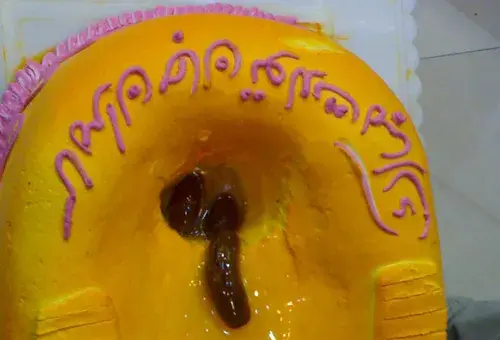 کیک عکس گاه انسان