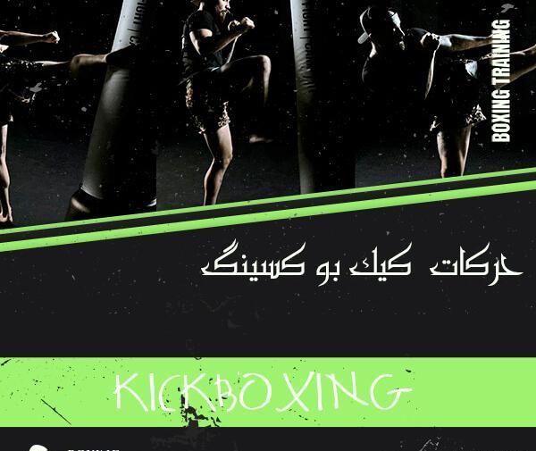 آموزش ضربات کیک بوکسینگ با عکس متحرک