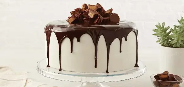 عکس کیک ساده شیک