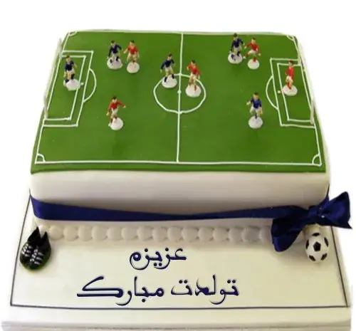 عکس کیک زمین فوتبال استقلال