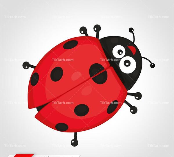 عکس کفشدوزک کارتونی