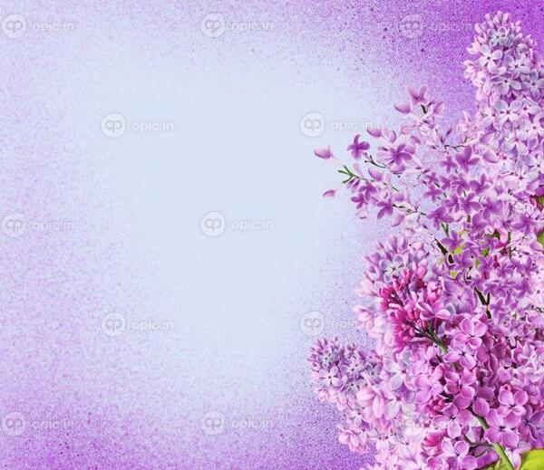 عکس کارتونی گل یاس